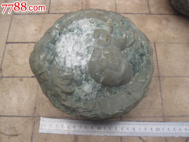 页游资讯_页游新闻