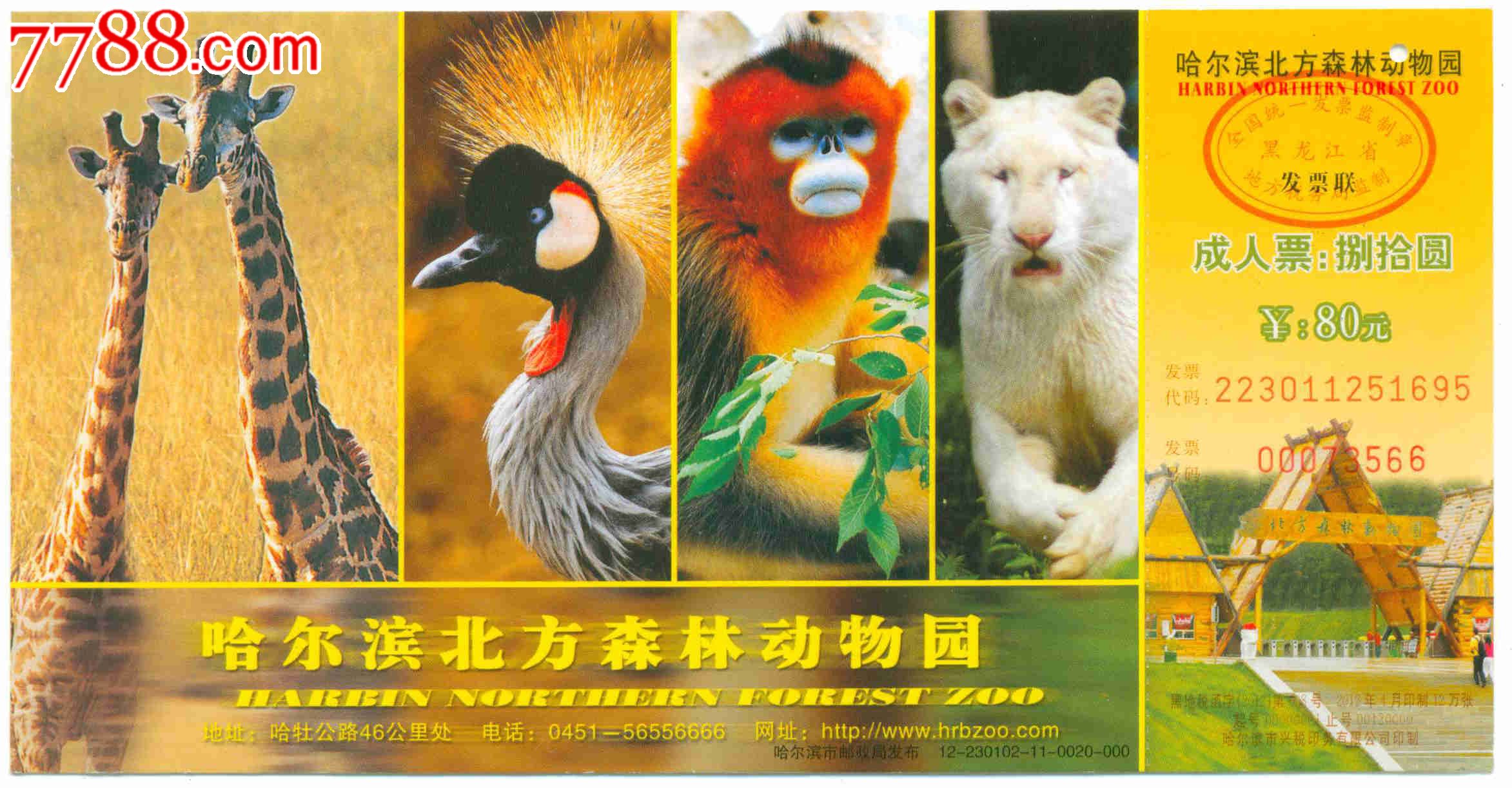 哈尔滨北方森林动物园明信片门票_门票卡_冰