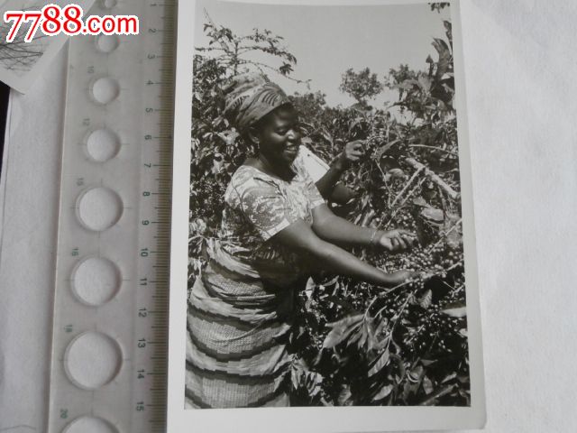 新华社70年代新闻照片【非洲国家发展民族经