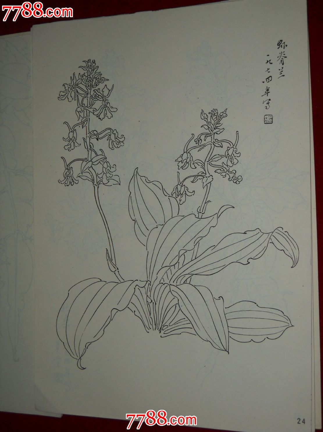 白描花卉-价格:200元-se22353029-素描/速写画册-零售