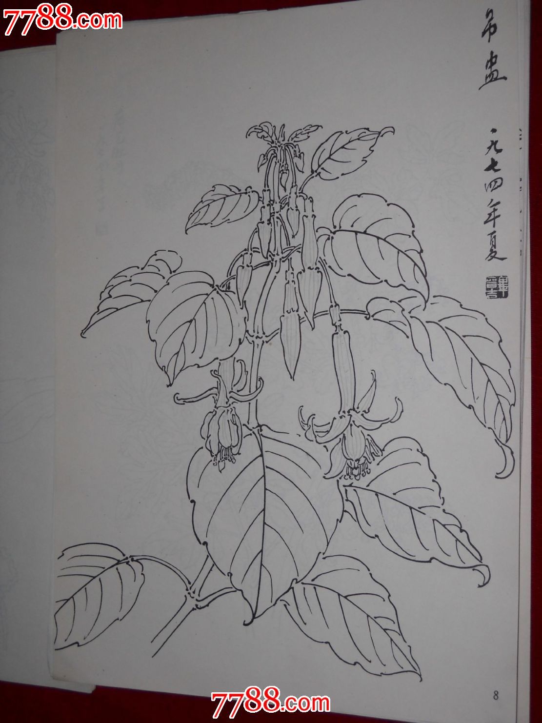白描花卉-素描\/速写画册--se22353029-零售-七七八八画册网