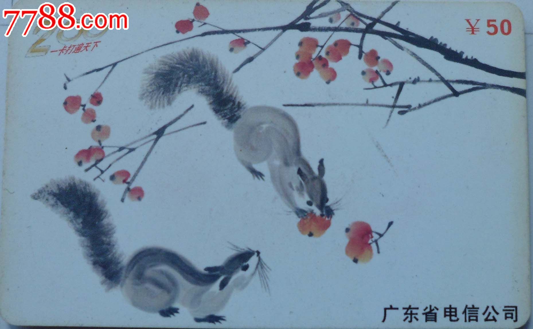 广东电信早期200收藏卡\/松鼠吃果子_IP卡\/密码