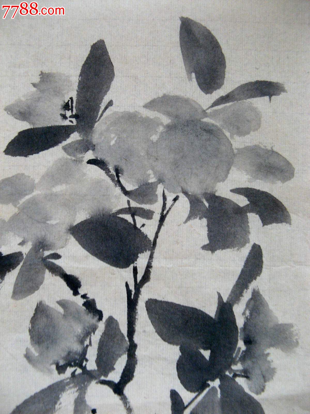 简洁洗练的一尺斗方无款水墨写意小画:玫瑰花