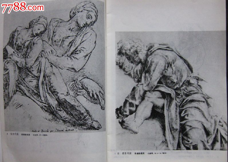 文艺复兴素描图片