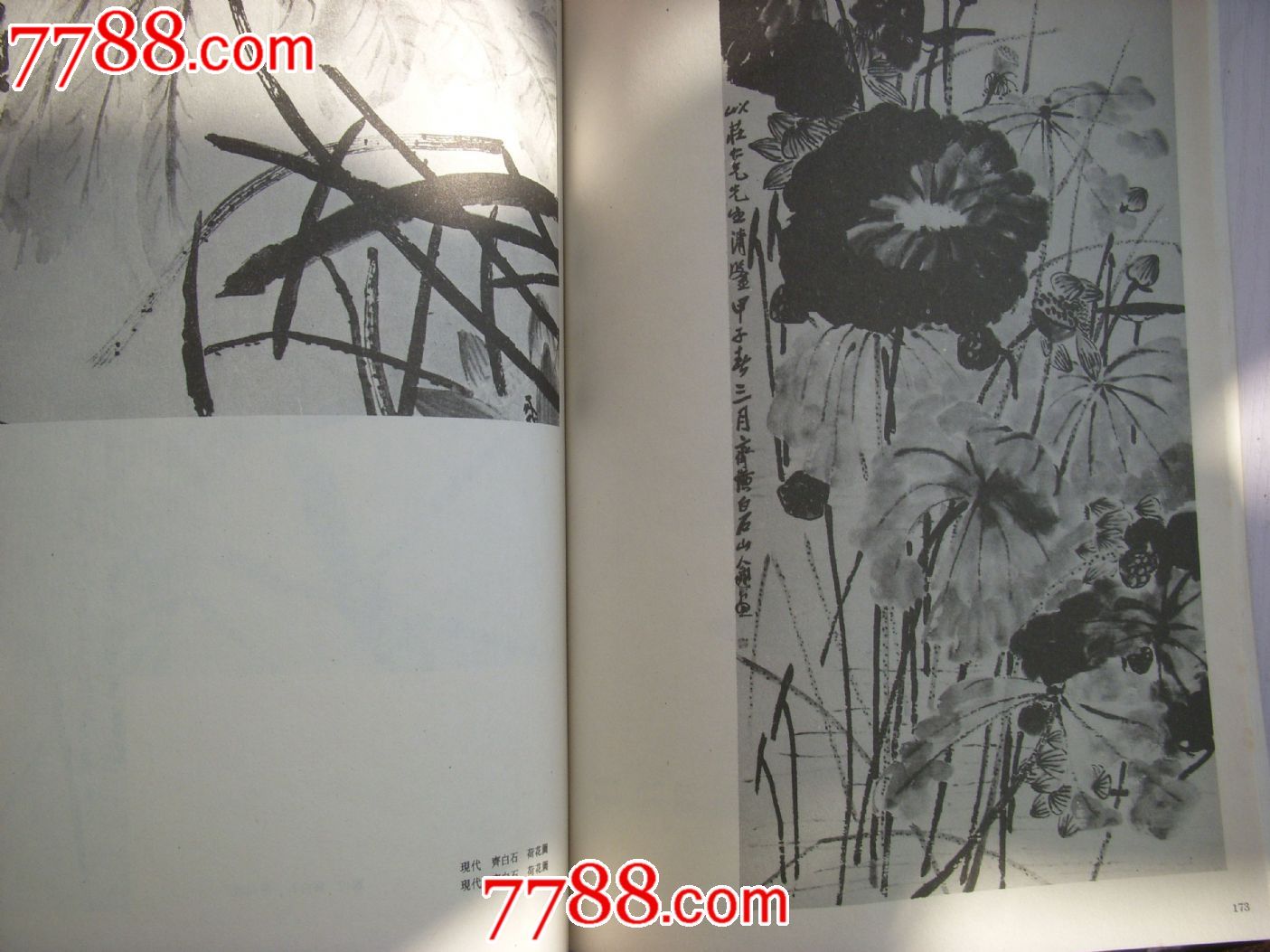 中国画名作类编---荷花编