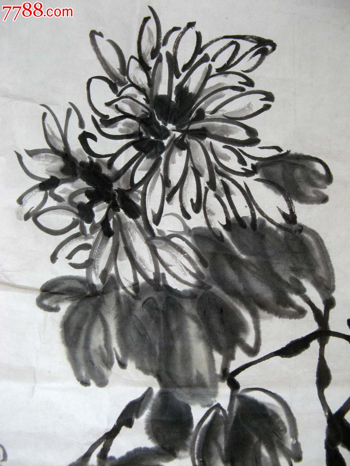 不错的近四尺斗方无款写意水墨菊花画:秋菊傲霜图