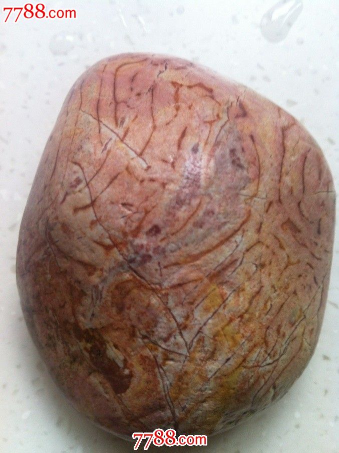 肉石---猪脑髓-肉石--se23053468-零售-七七八