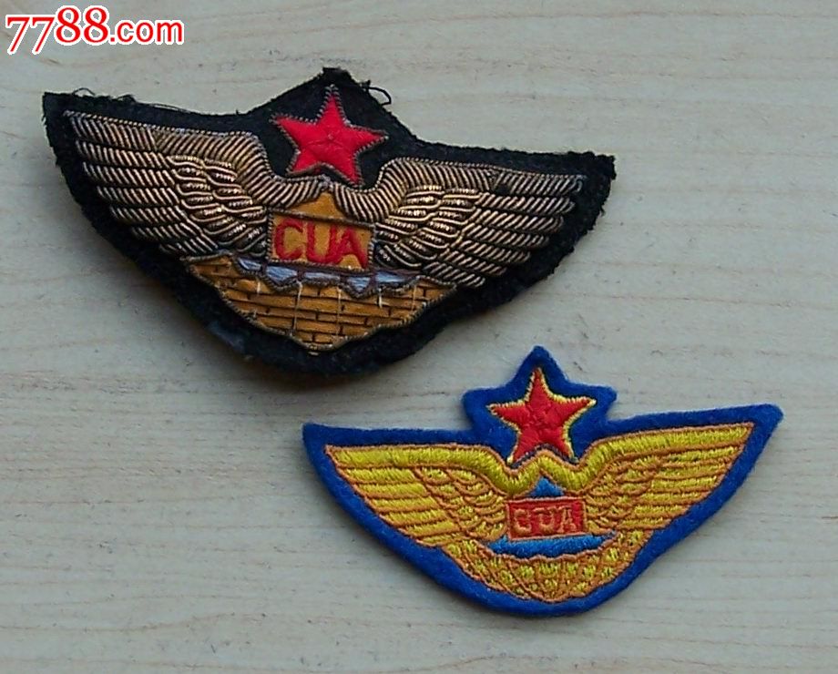 航空公司(帽徽2个)-价格:600元-se23135035-老