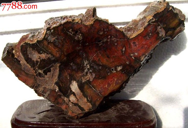 高宽厚约:17*23*7CM(高含底座)木化玉又称树化玉,古代称降龙木,有避邪驱毒之说。生成于遥远的中生代,据今约3.5-1.5亿年。是在漫长的地质历史时期,在特殊的地质环境下形成的,大多数的树木经历几亿年的地质变迁变成了炭和石油,一小部分的树干由于在灾难突发的瞬间被含有硅溶液包裹起来,在特殊的环境下发生硅化反应,保留了树木的原生特征,是已经玉化的木化石。