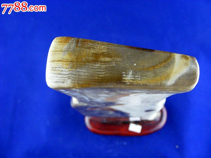 辽西朝阳特产天然古生物树化玉木化石树化石硅