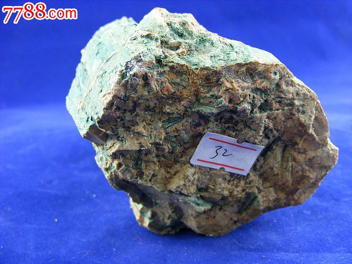 辽西朝阳特产天然古生物树化玉木化石树化石硅