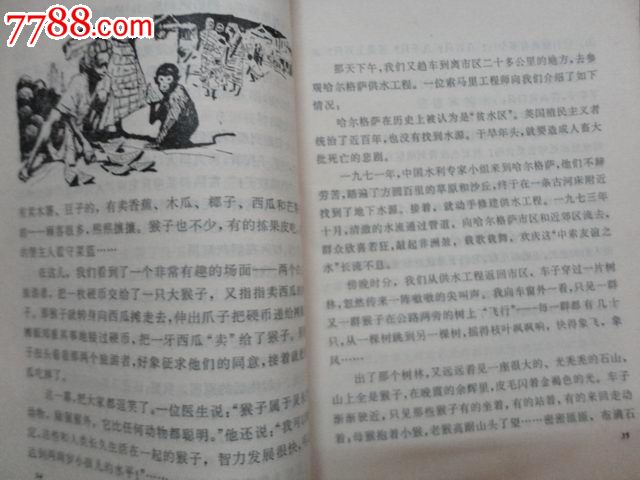 我亲爱的大河马(插图本)李萧军插图_其他文字