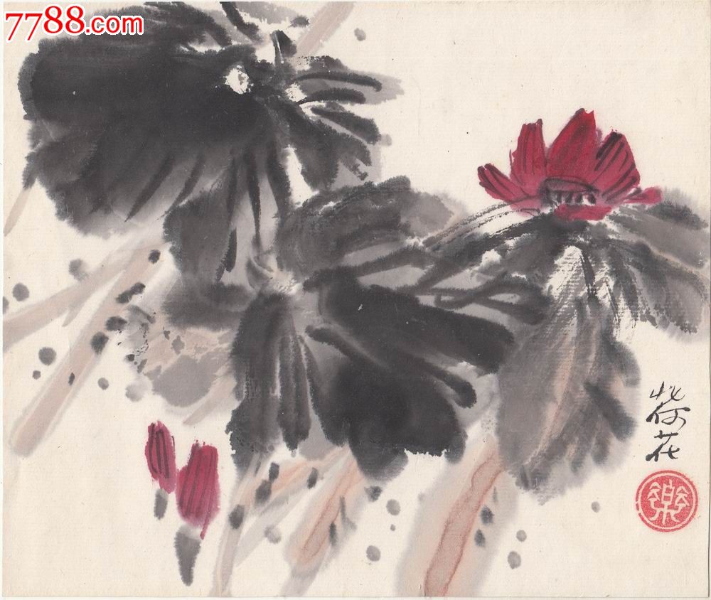 荷花开的最好的时期是什么时候?现在还有吗?