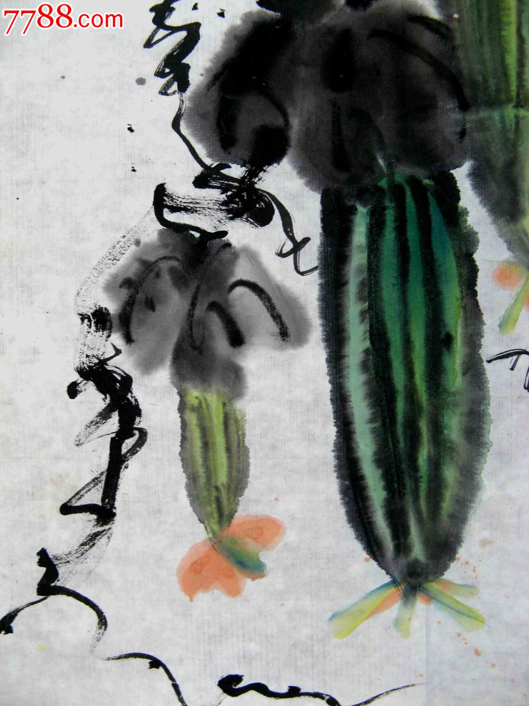 清隽灵动的一尺斗方写意蔬果画《丝瓜》