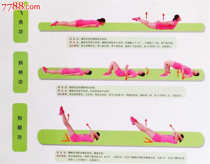 腰椎疾病功能锻炼挂图修订版韦贵康北京科学技
