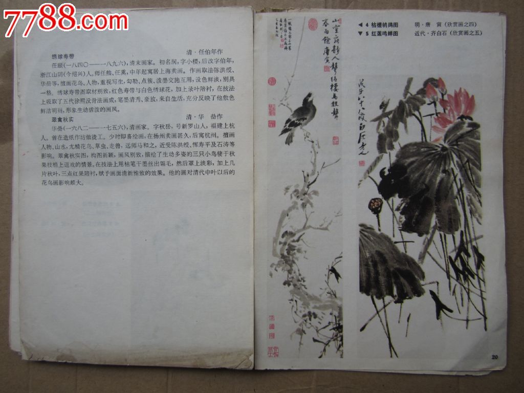 花鸟草画法入门