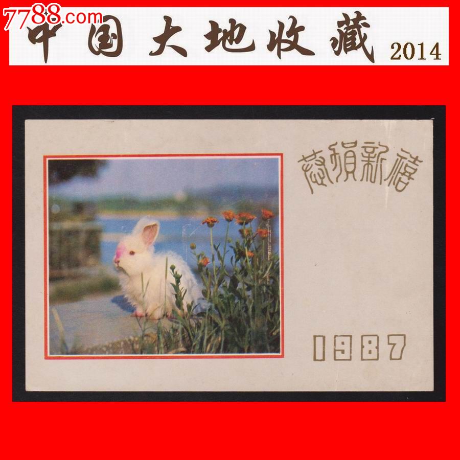 兔年》生肖美术邮政明信片(1987年)马鞍山市邮票公司