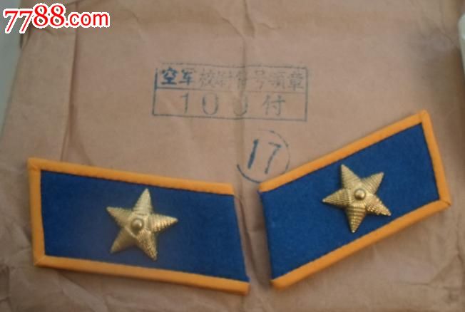 85空军干部领章