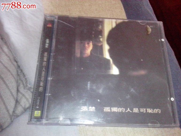 张楚孤独的人是可耻的