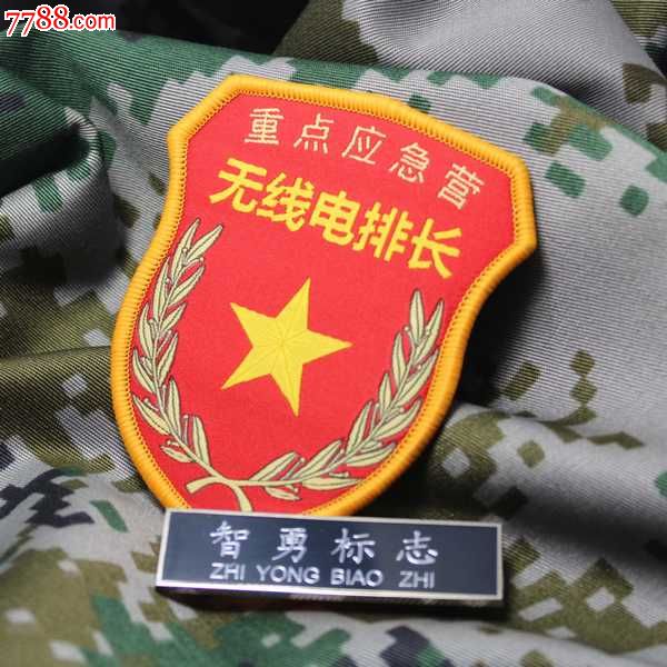 退役职务臂章无线电排长