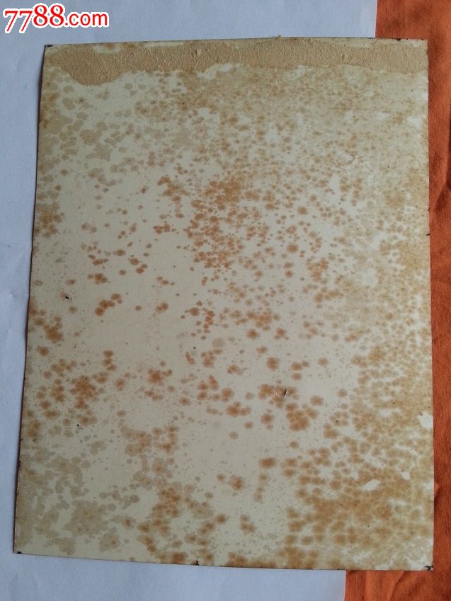 民国结婚照一张,大小看图片尺寸。_老照片_啥