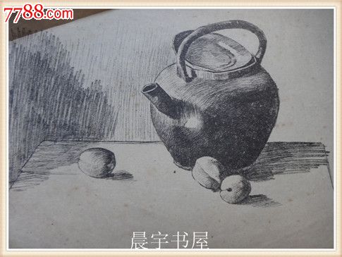 素描插页:壶和杏子16开1张(货号:V)_小画片_晨