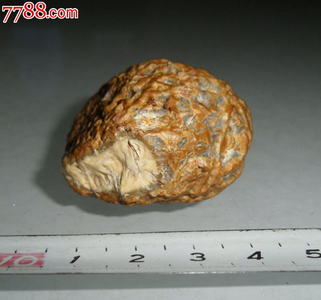 筋脉石-金脉石-黄色奇石-核桃石-核桃石把件-黄