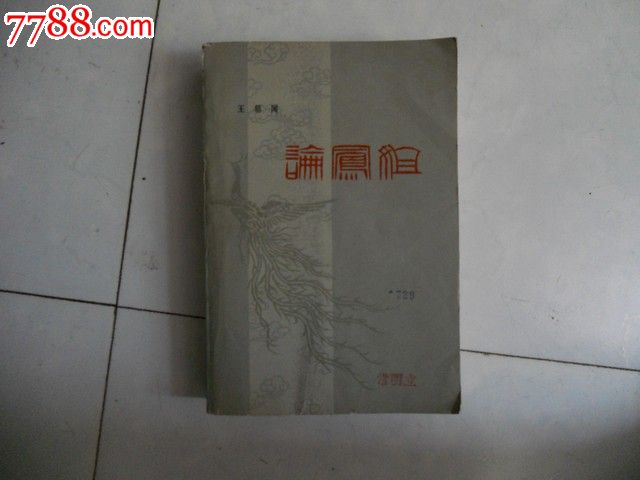 论<em>凤姐,小说</em>/传记,现代小说,八十年代(20世纪),3