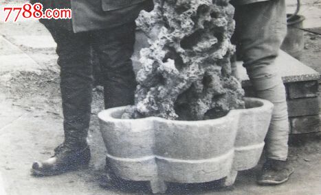 可能是孤本、绝版:林彪、叶群和林豆豆(林立衡