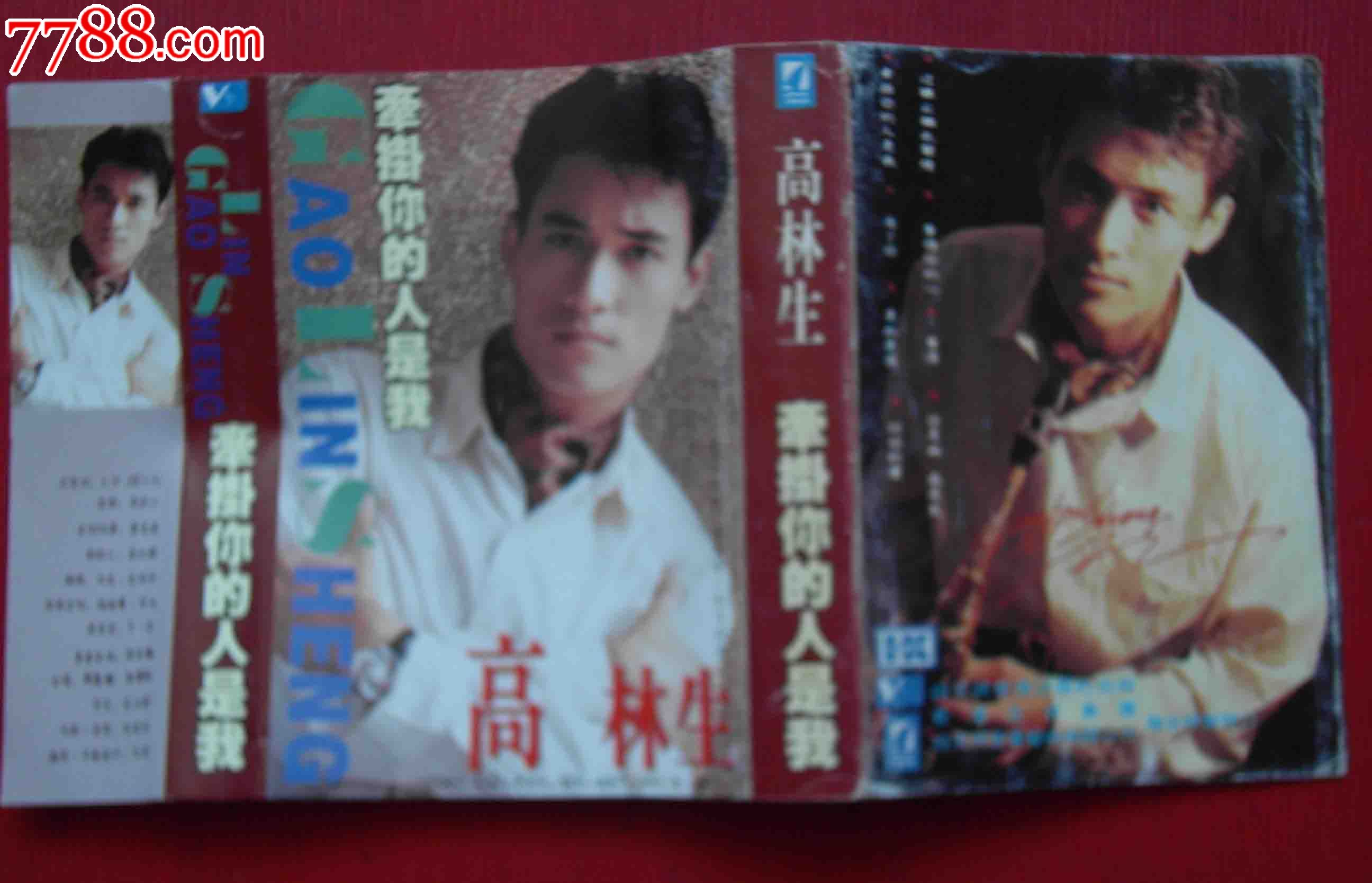 高林生-牵挂你的人是我