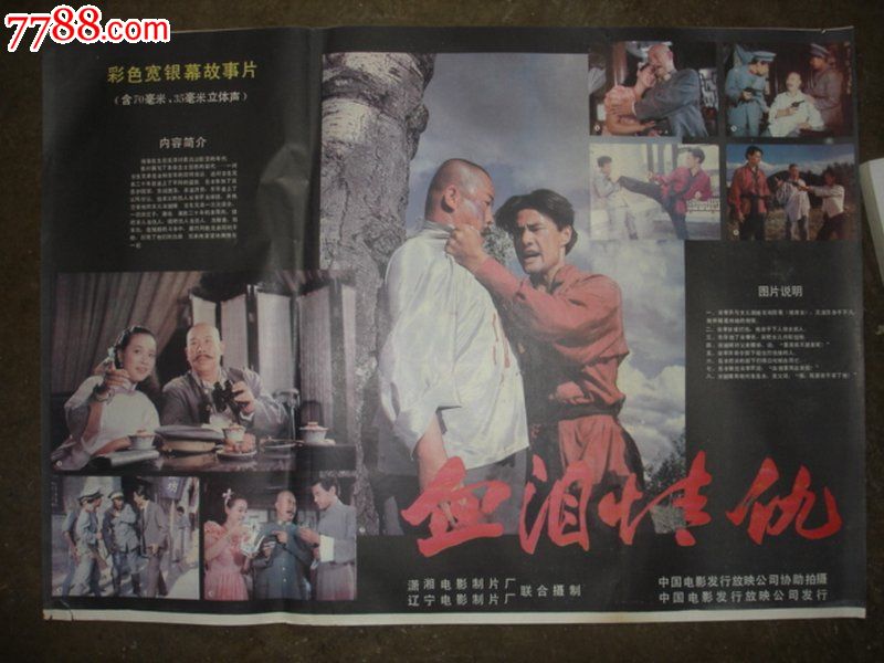 血泪情仇-价格:5元-se24315056-电影海报-零售-7788收藏__中国收藏