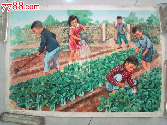 1961年《看图说话写句子》马蝶仙绘-se24330