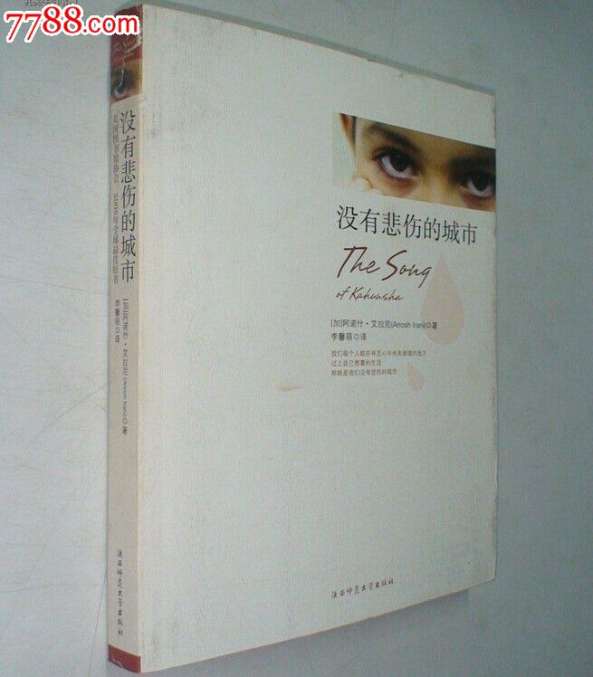 没有悲伤的城市-价格:8元-se24345443-散文\/文