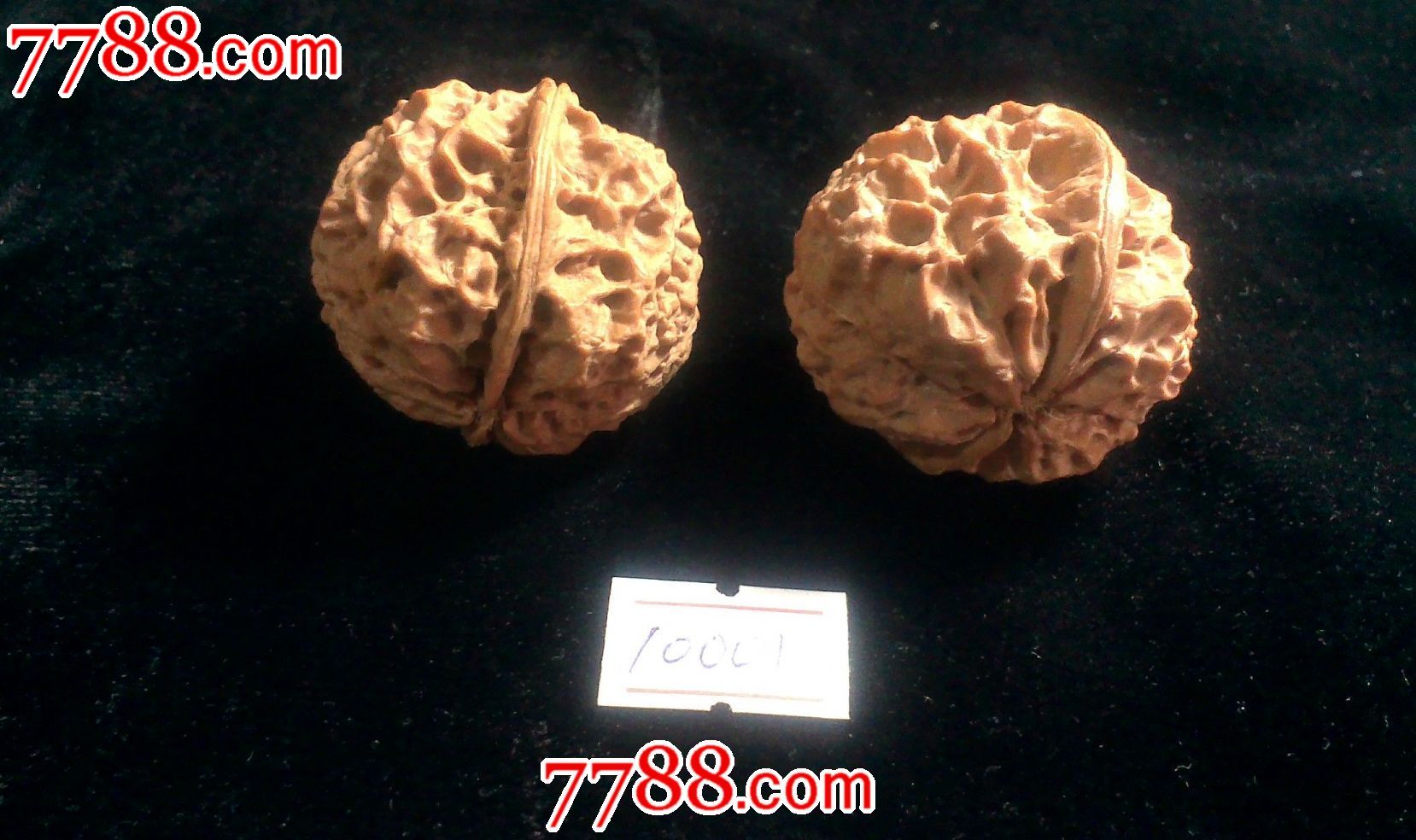 铁核桃,狮子头核桃,秋子核桃.