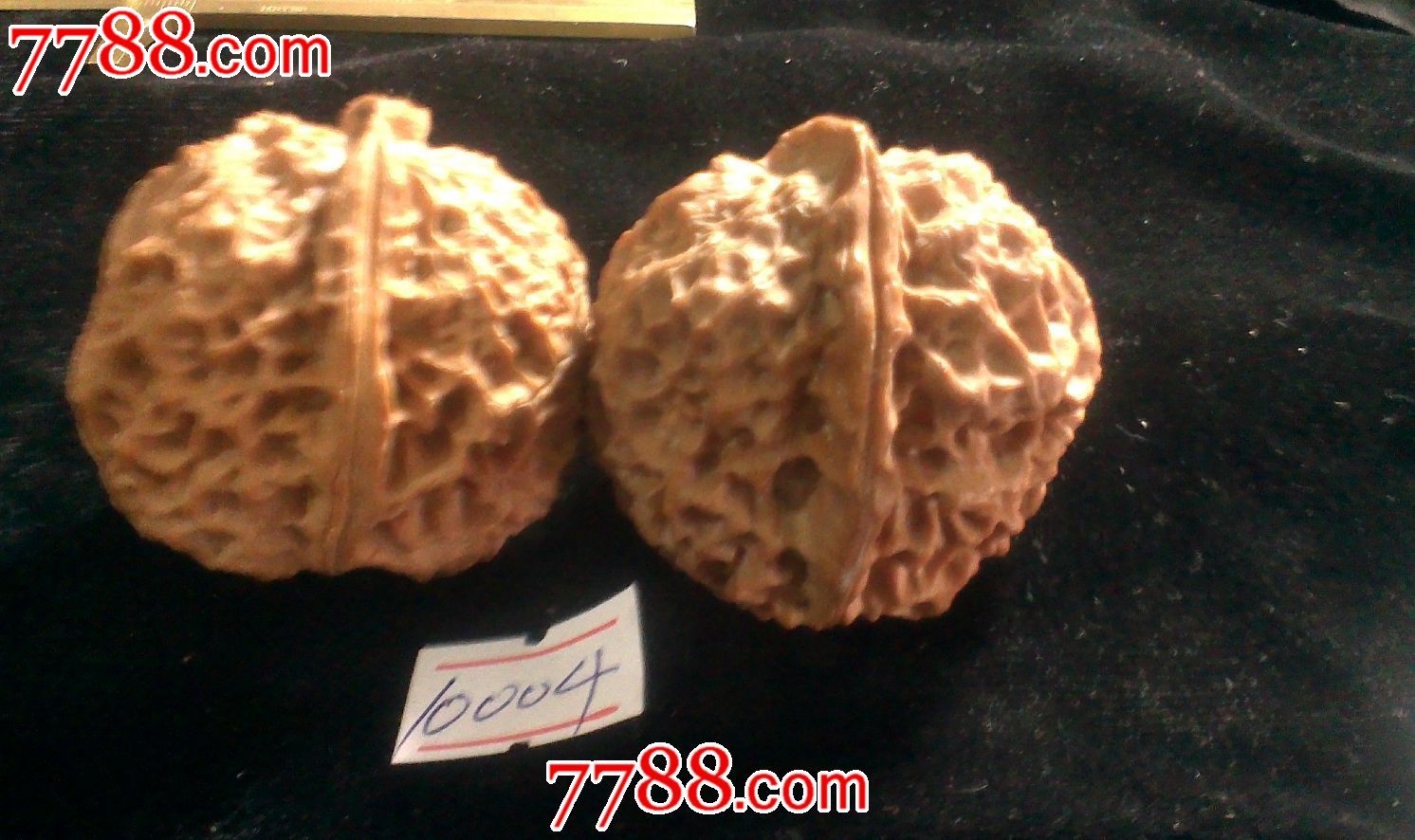铁核桃,狮子头核桃,秋子核桃.10004