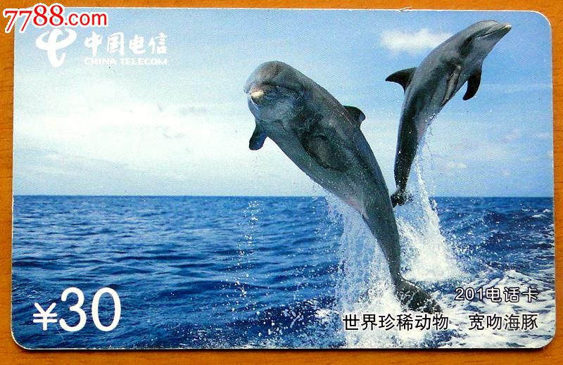 上海电信201卡1枚(世界珍稀动物),IP卡\/密码卡,201卡,21世纪初,电信,上海,普通卡,长方形卡,单张散卡,se24483002,零售,七七八八电话卡收藏