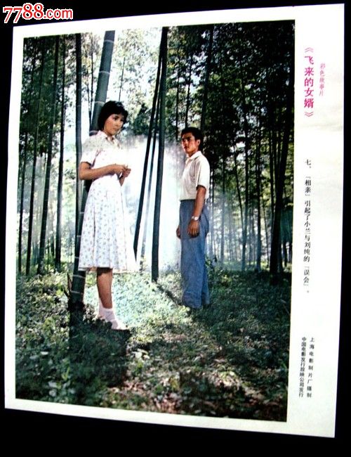 <em>飞来的女婿</em>,电影海报,绘画与摄影稿混合印刷,故