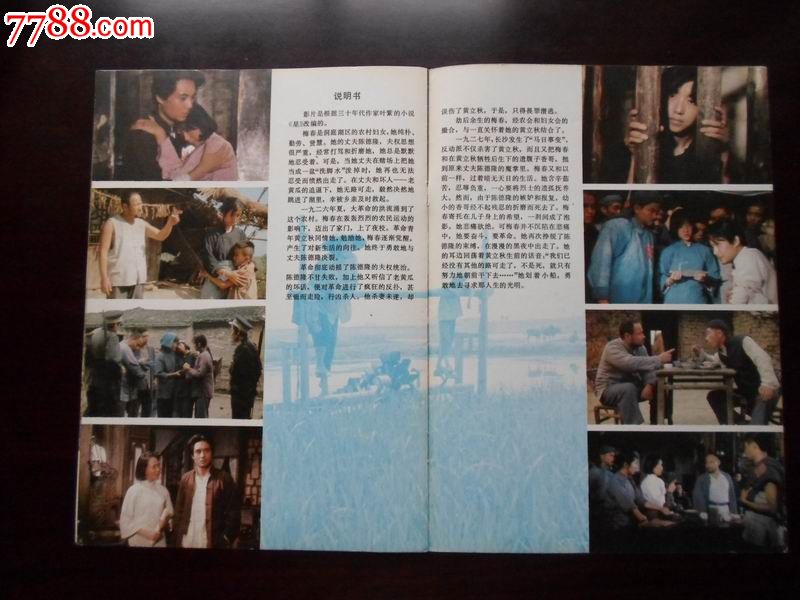 <em>一个女人的命运</em>(庆祝中华人民共和国成立三十