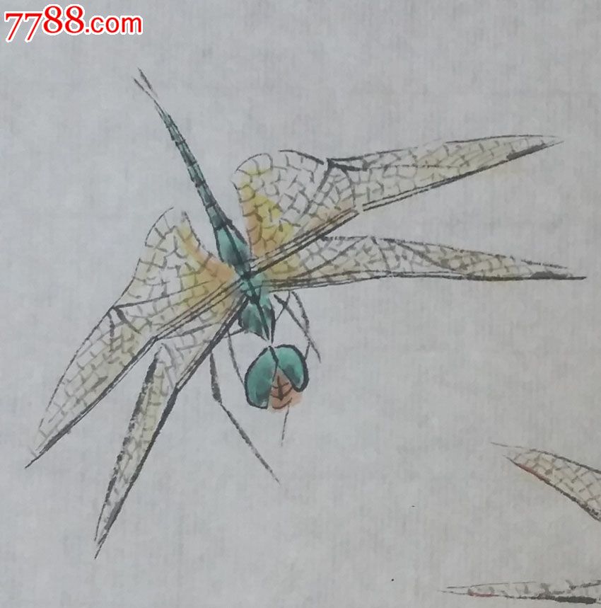国画蜻蜓