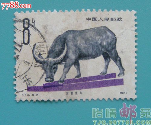 T63(6-2)畜牧业-牛-新中国邮票--se24760393-零