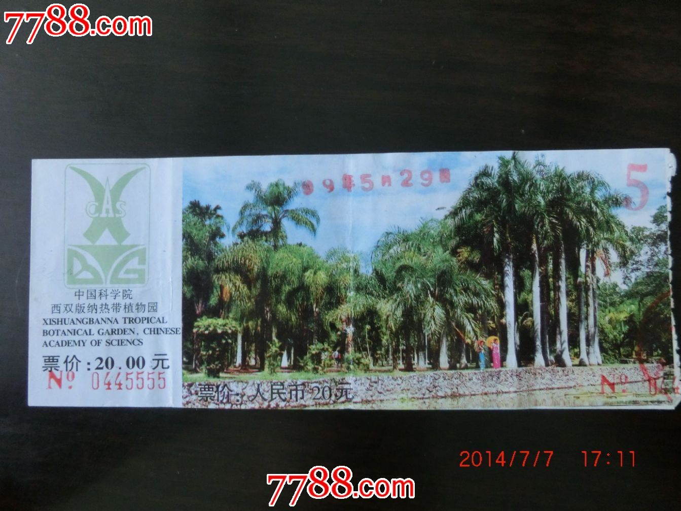 1999年云南西双版纳热带植物园公园门票-价格