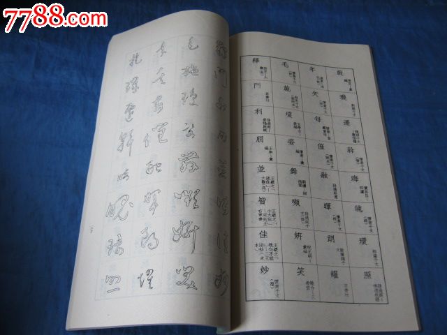 软硬笔两用字帖类:标准草书(可供软硬笔用的好字帖)(著名书法家于右任