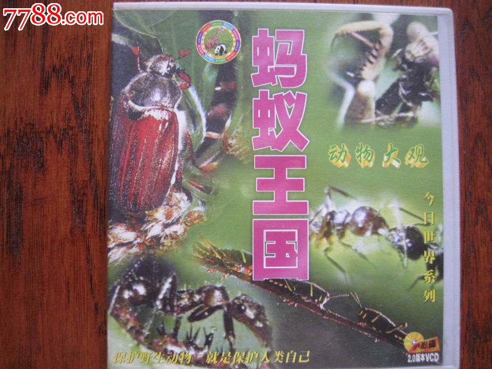 蚂蚁王国,VCD\/DVD,VCD光碟,九十年代(20世纪