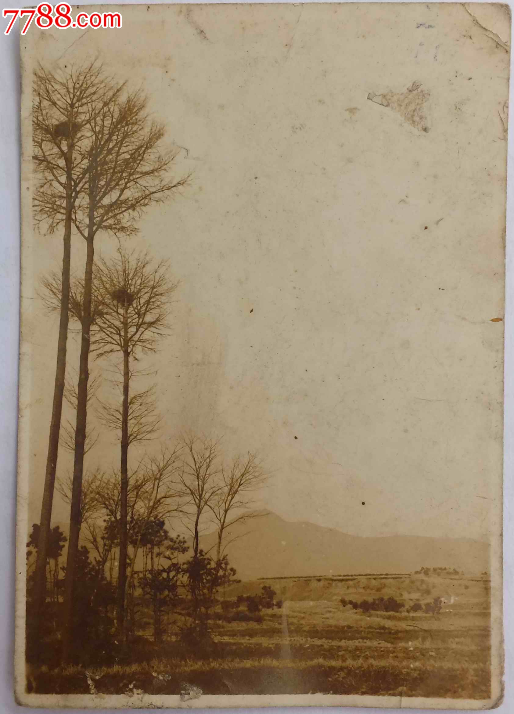 民国宜兴张公洞,老照片-- 风光建筑照片,老照片