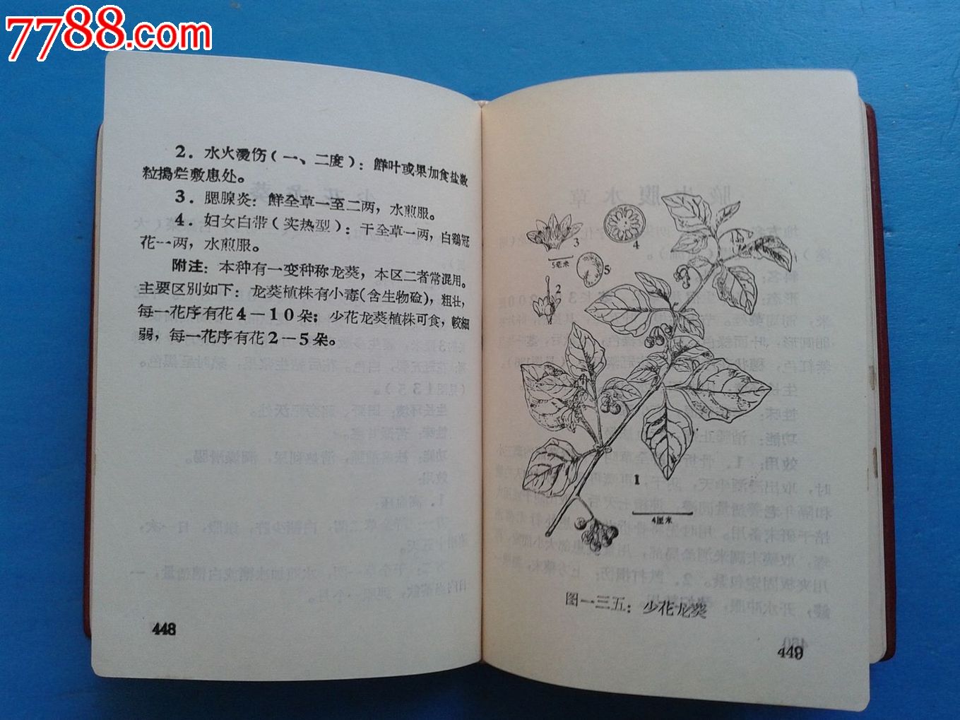 常用青草药选编(第一集)-价格:120元-se25036493-医书\/药书-零售-中国收藏热线