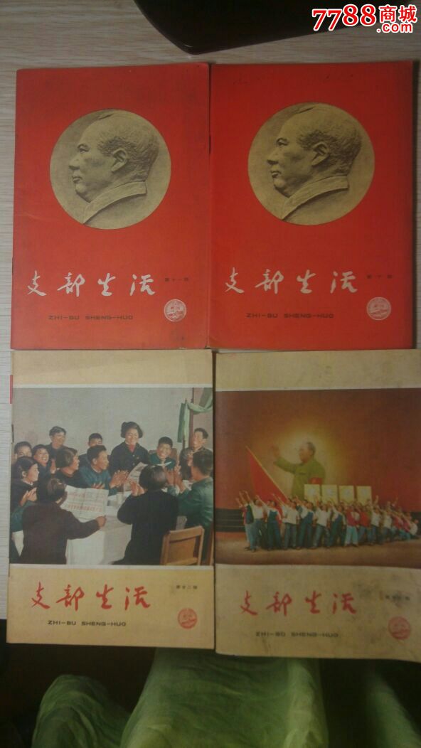 66年全年支部生活(缺第一期),文字期刊,正刊,政