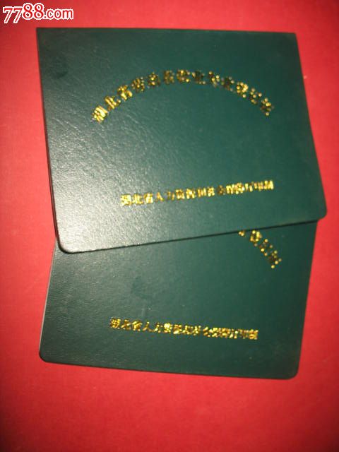 湖北省人力资源和社会保障厅`湖北省劳动者就