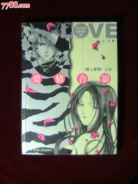 爱情合影:爱上爱情之后_小说\/传记_盛唐山房