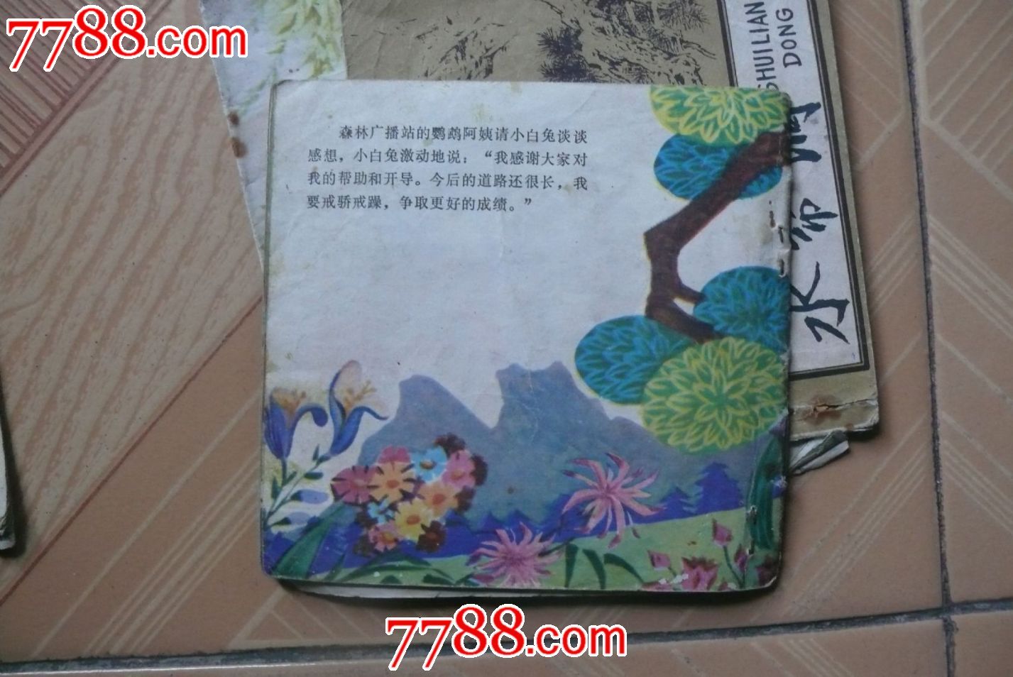 龟兔课外书籍的手抄报