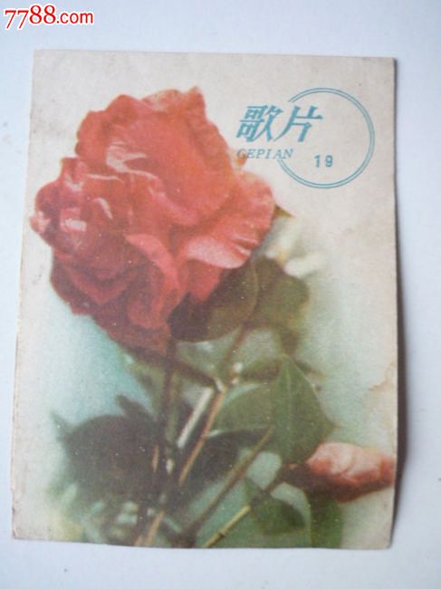 纺织歌、含苞欲放的花、小杜鹃_老歌片_扬程